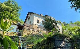 Luxusboofe - Ferienhaus am Lilienstein